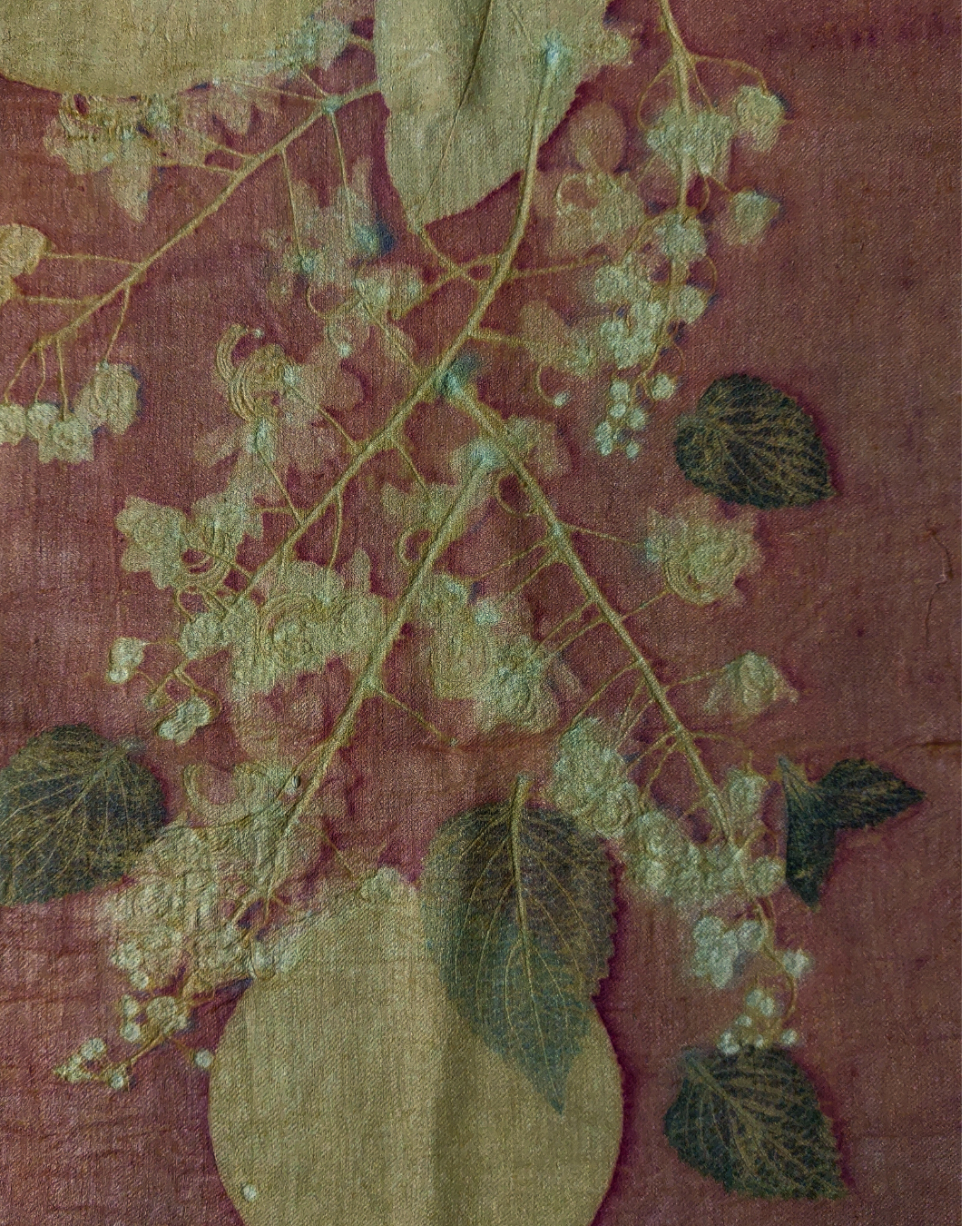 Exquisite Eco Expressions