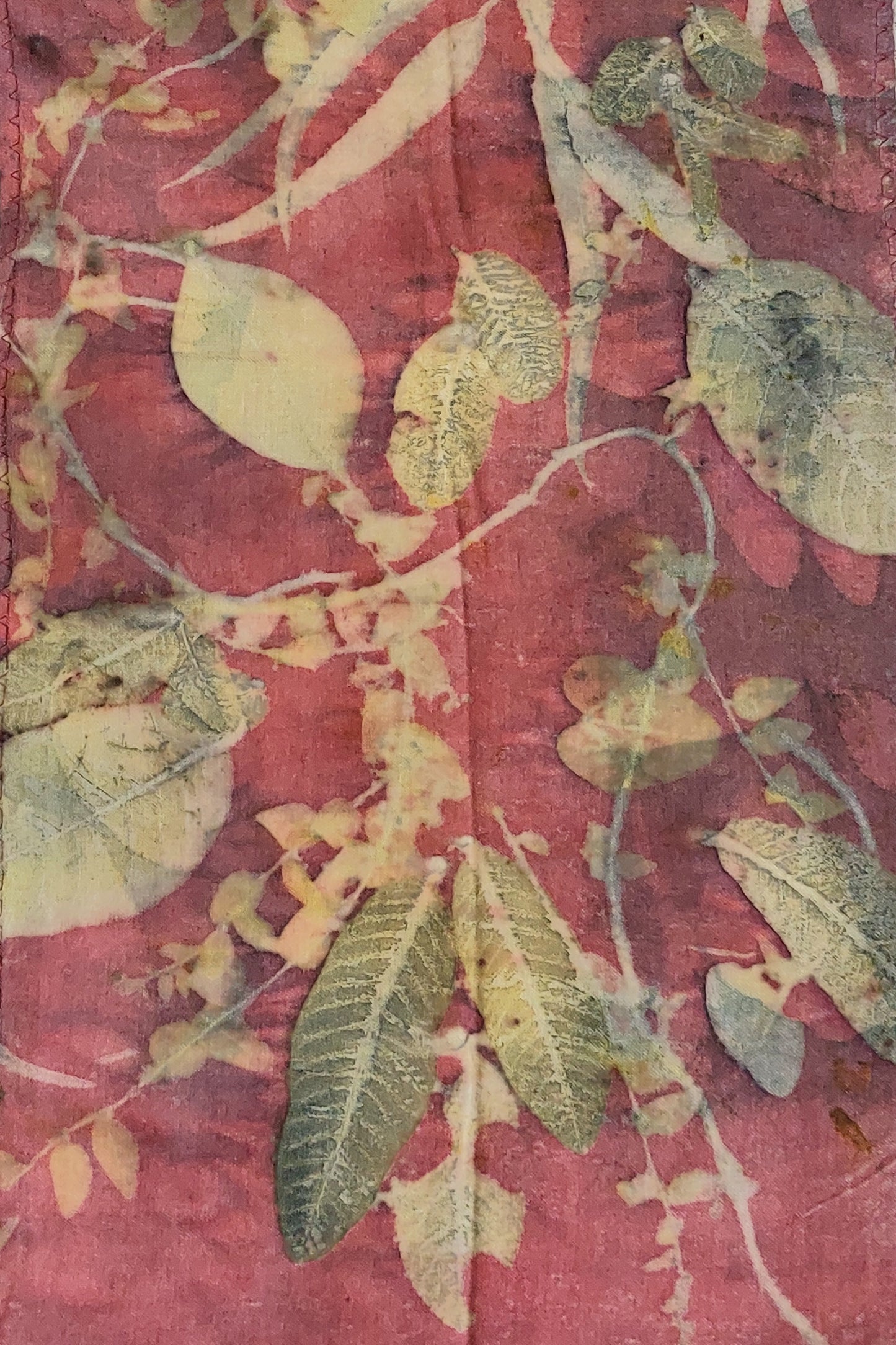 Eco Eri Silk Essence