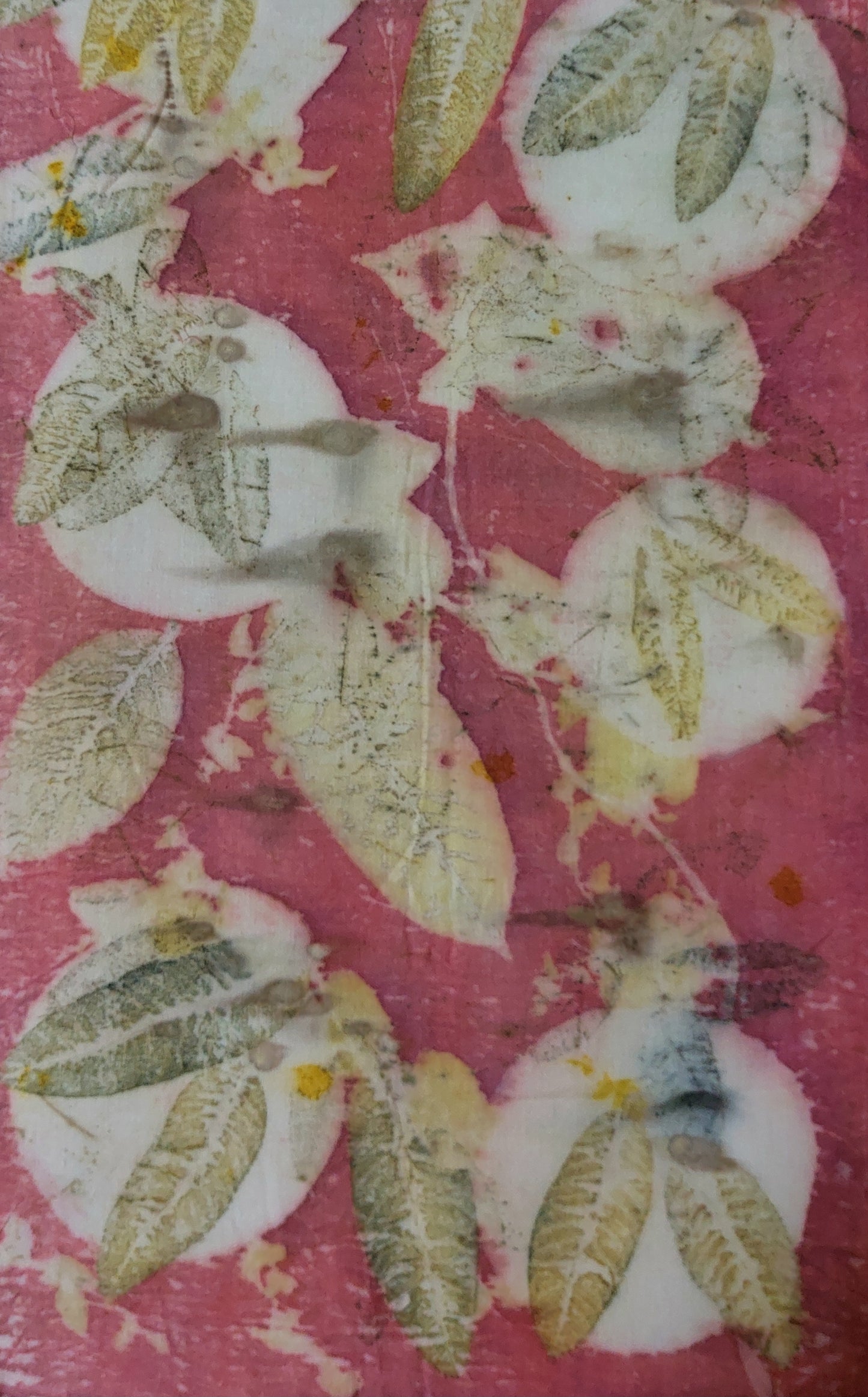 Eco Eri Silk Enigma